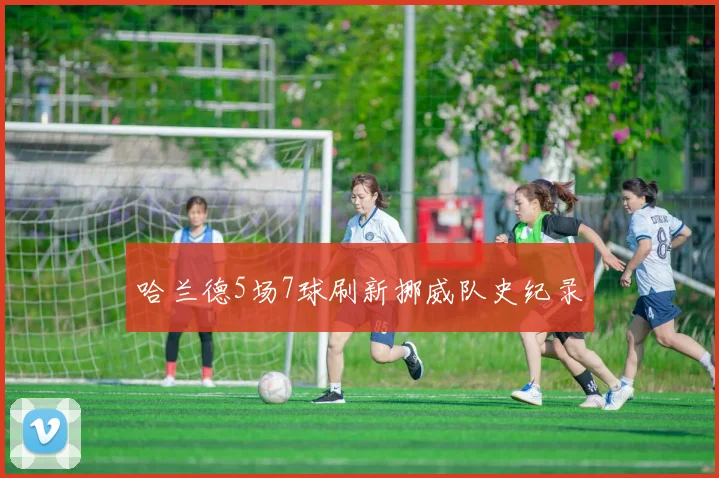 哈兰德5场7球刷新挪威队史纪录